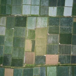 A Bunch of Farming Field - Image