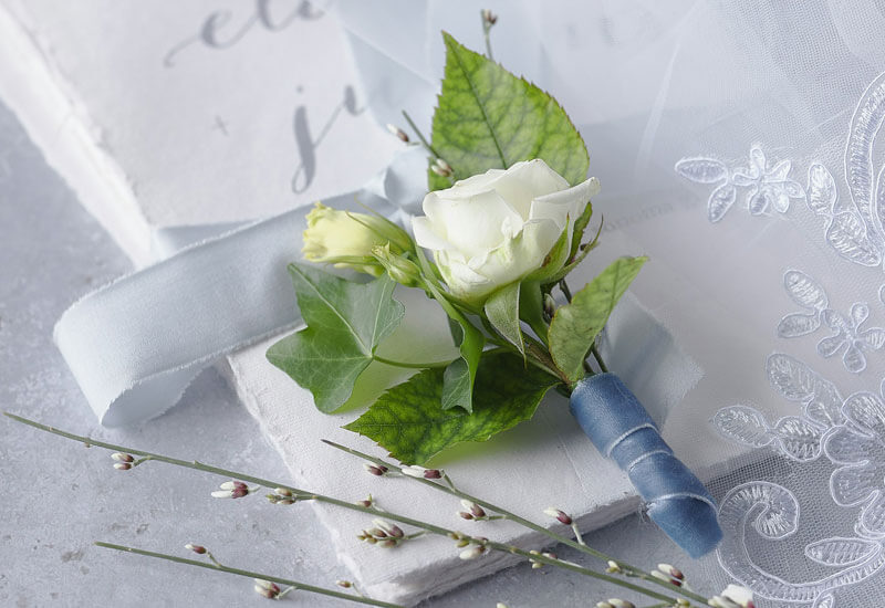 A rose with a Wedding veil Image
