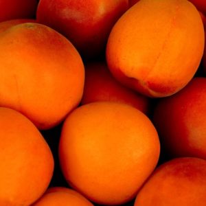 Apricots Color Palette - Image