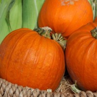 Autumn Basket - Image