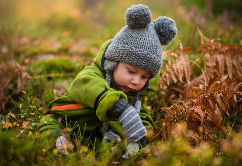 Baby picking leaves Image