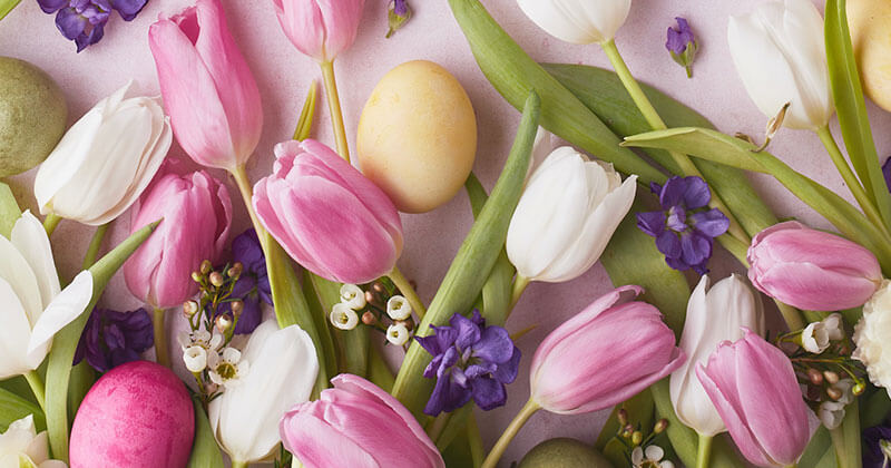 Best Spring Color Schemes for 2023 - Cover Image