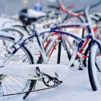 Bicycles Winter - Image