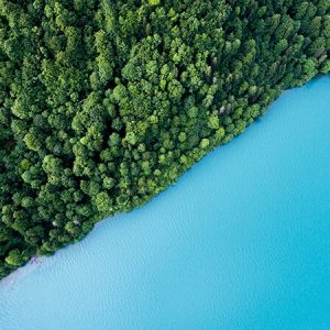 Blue Lake and Green Shore - Image