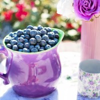 Blueberries Summer Fruit - Image