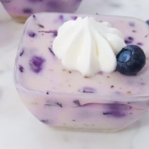 Blueberry Dessert - Image