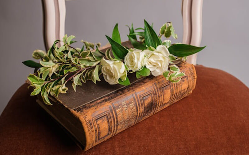 Book on the Chair Image