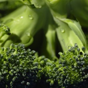 Broccoli Green - Image