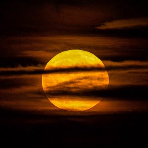 Buck Moon - Image
