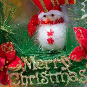 Christmas Snow Man - Image