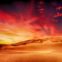 Desert Landscape - Image