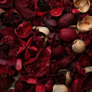 Dried Flowers - Image