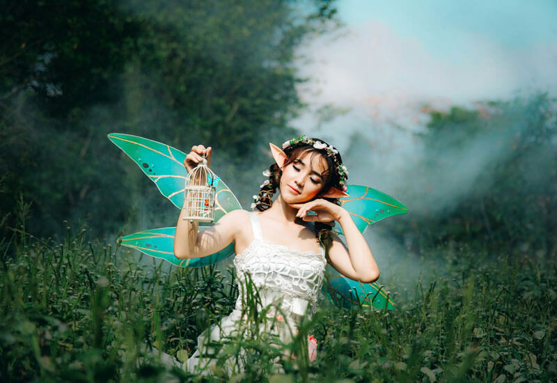 Fairy Princess Image