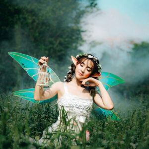 Fairy Princess - Image