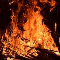 Fire Light - Image