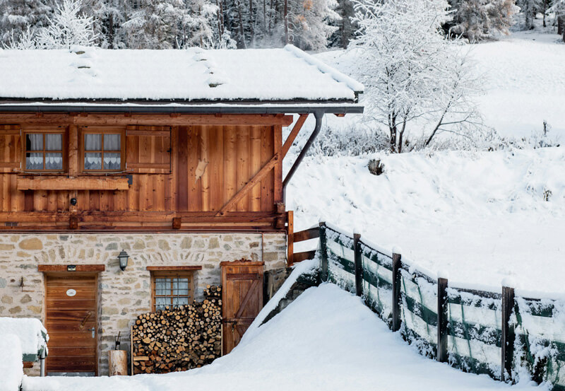 Forest House Image