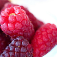 Fresh Picked Tayberries - Image