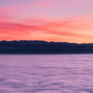 Gentle Dawn - Image