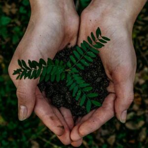 Go Green - Image