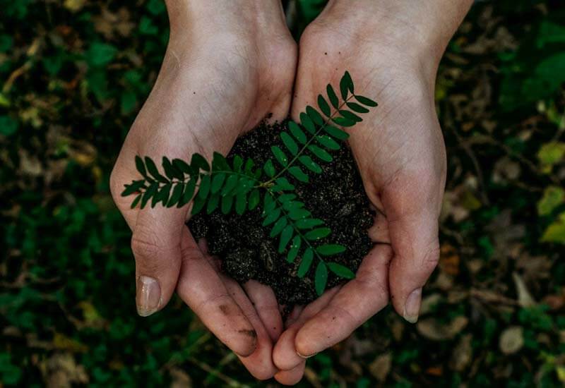 Go Green Image