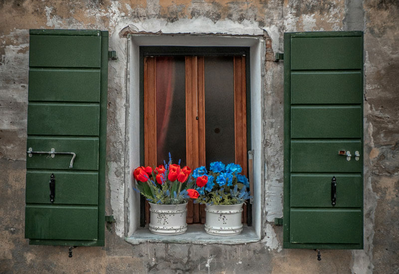 Green Window with Colorful Flowers Image