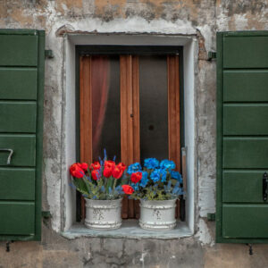 Green Window with Colorful Flowers - Image