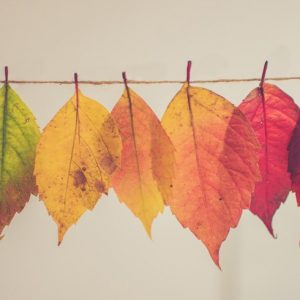 Hanging out in Autumn - Image