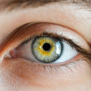 Hazel Eyes #2 - Image
