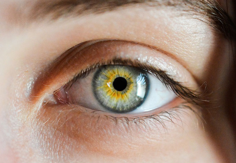 Hazel Eyes #2 Image