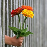 Just For You - Image