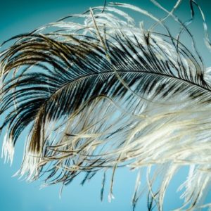 Light As A Feather - Image