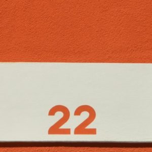 Number 22 - Image
