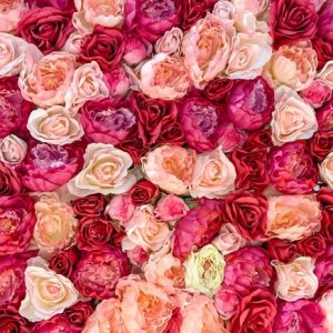 Packed Up Roses - Image