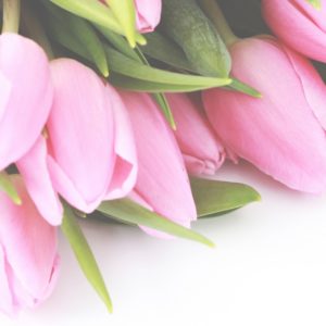 Pink Tulips For You - Image