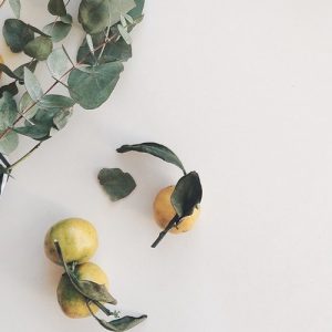 Plant Crafts - Image
