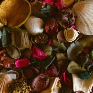 Potpourri - Image