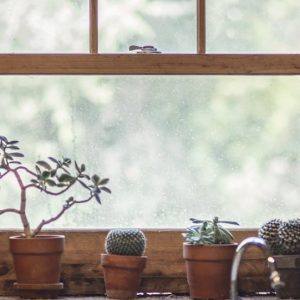 Pots on Kitchen Sill - Image