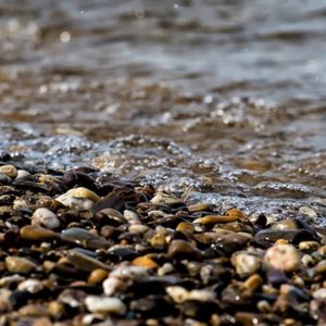Rocks on a Beach - Image