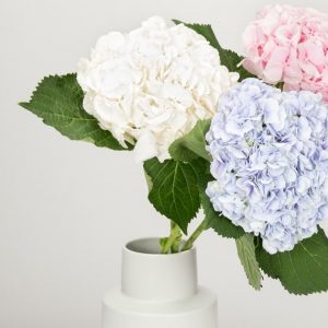 Simple Flowers - Image