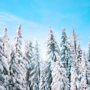 Snow during Daytime - Image
