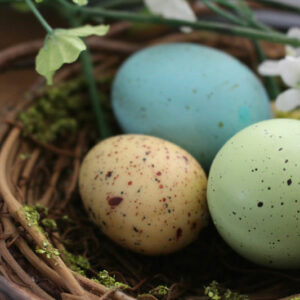 Speckled eggs in the nest - Image