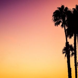 Summer Holiday Evening - Image