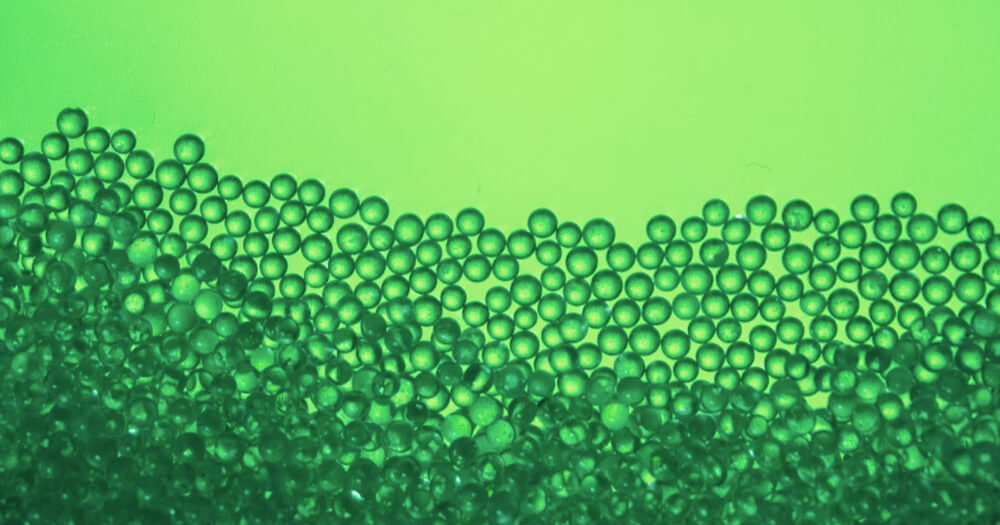 The 24 Best Green Monochromatic Color Palette - Cover Image
