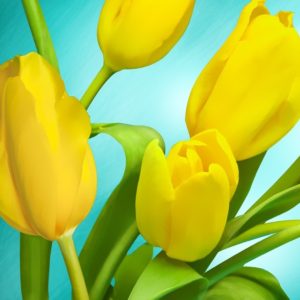 Tulips Plant - Image