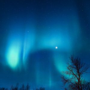 Under the Aurora - Image
