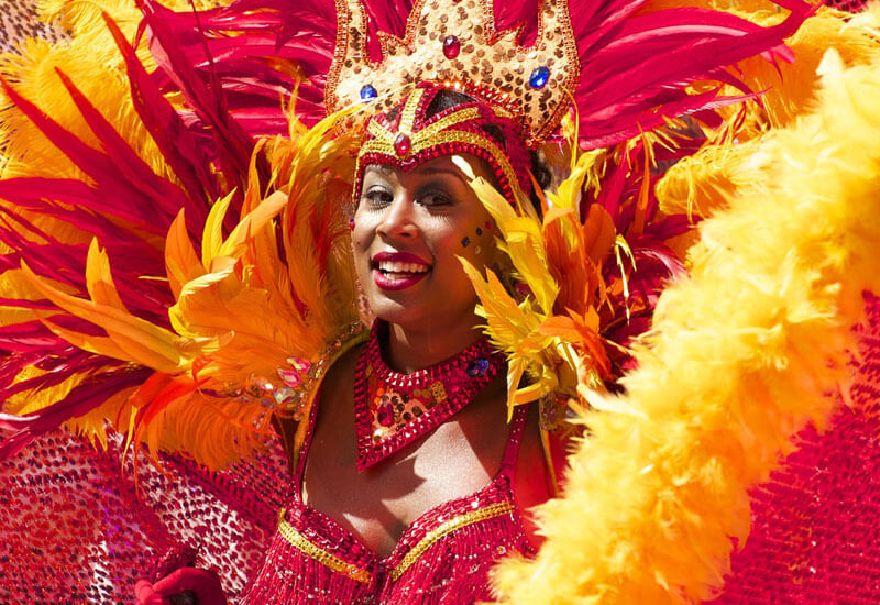 Woman in Carnival Costume Image