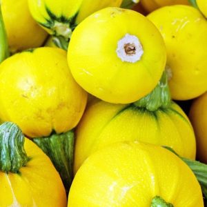 Yellow Zucchini - Image