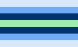 Boyflux flag