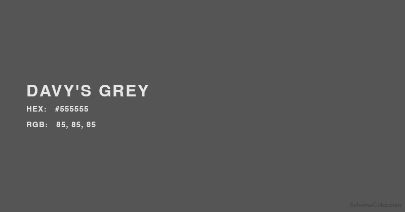 Davy's Grey color - Hex: #555555