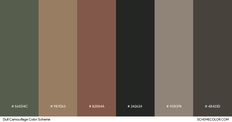 Dull Camouflage color scheme